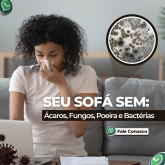 Lavagem estofados