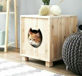 Gato Chique