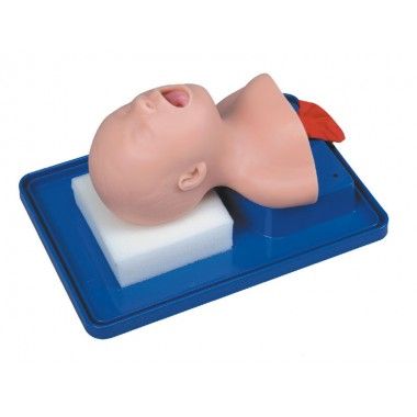 Simulador para Treino de Intubação Neonatal CS/SK0041