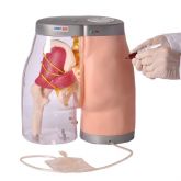 Simulador de Injeção Intramuscular no Glúteo-CS/AT/TGD-4009-C