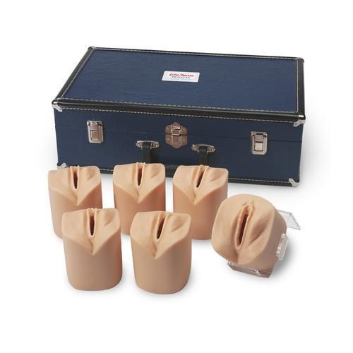 Simuladores de Dilatação e Obliteração Cervical -CS/SK -LF 01068U
