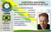 DOUGLAS VINICIUS SECKLER
