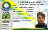 OCTÁVIO HENRIQUE CARNEIRO VILELA