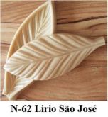 Lírio São José(n-62)