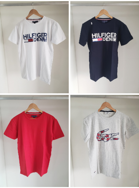 Camisas Básicas Mod 05