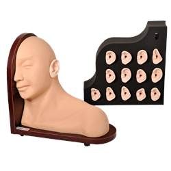 Simulador Avançado de Exame de Ouvido-CS/AT/TZJ-4016