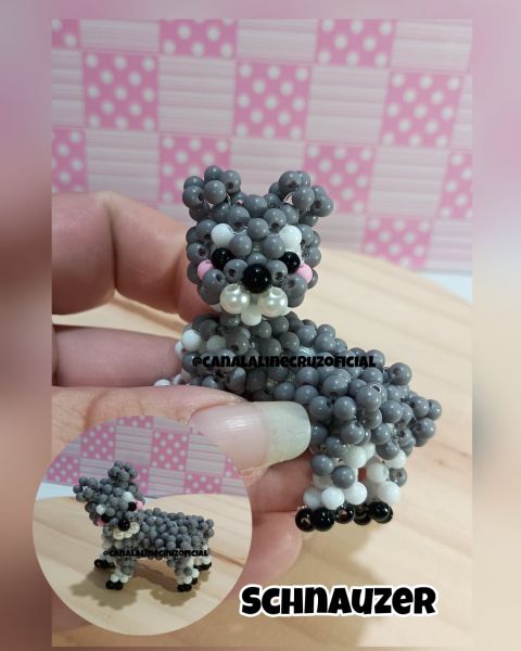 VIDEO AULA SCHNAUZER