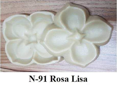 Rosa lisa (n-91)