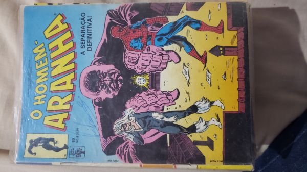 HOMEM ARANHA ABRIL JOVEM NR 080