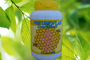 PNEUMOFLAN  EXPECTORANTE