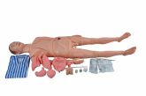 Manequim Bissexual Adulto c/ Órgãos Internos P/ Treino de Enfermagem de 1,70 cm-CS/SD-4000