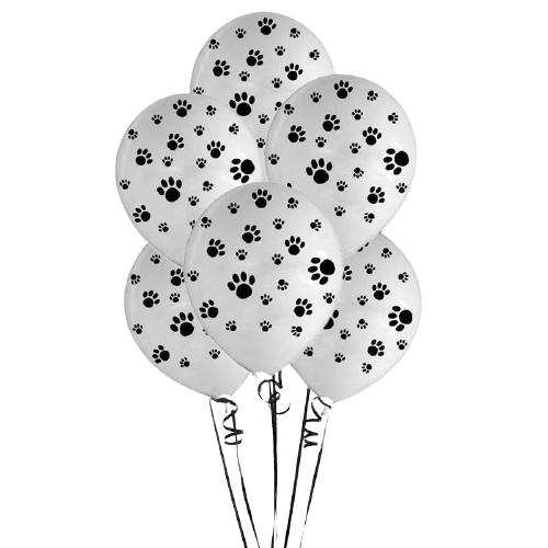 Balão Decorado Nº9 25un