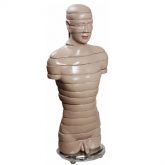 Torso em Disco, Corte Axial, em 18 Partes-CS/AT/TGD-0220