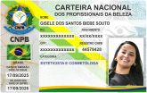 GISELE DOS SANTOS BIEBE SOUTO