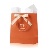 Sacola de Presente - mini