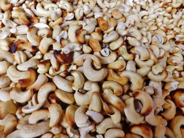 Castata de caju natural kg