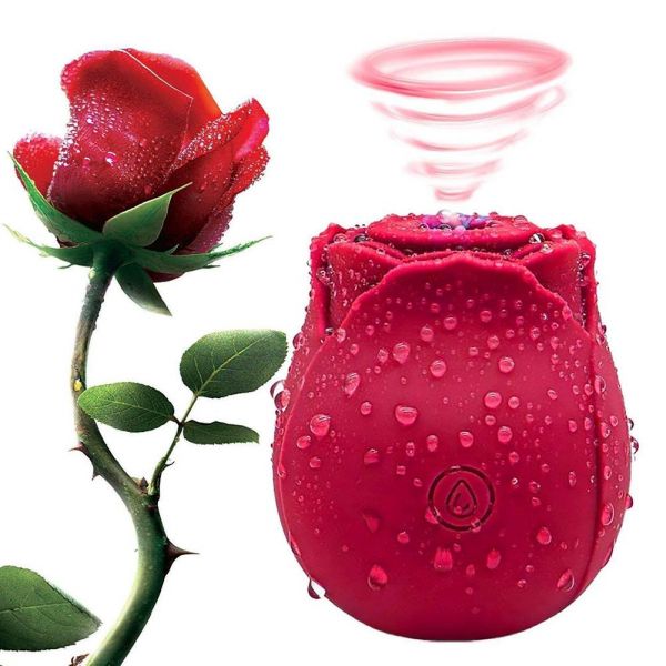Vibrador x Sugador Flor 10 modos