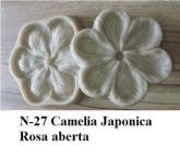 Camélia Japonica(n-27)