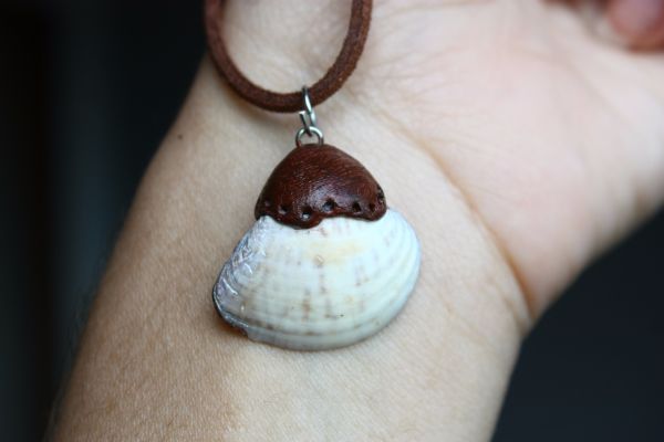 Colar com Concha Natural II