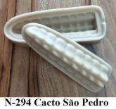 Cacto São Pedro (n-304)