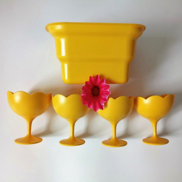 CONJUNTO DE SORVETE