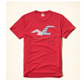 Camiseta Hollister Masculina Original