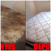 Lavagem de sofá a seco Jardim Paris em Maringá!!