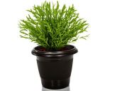 VASO REDONDO - PRETO - (35 cm)