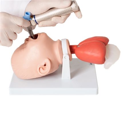 Simulador P/ Treino de Intubação Bebê-CS/AT/TGD-4007-B
