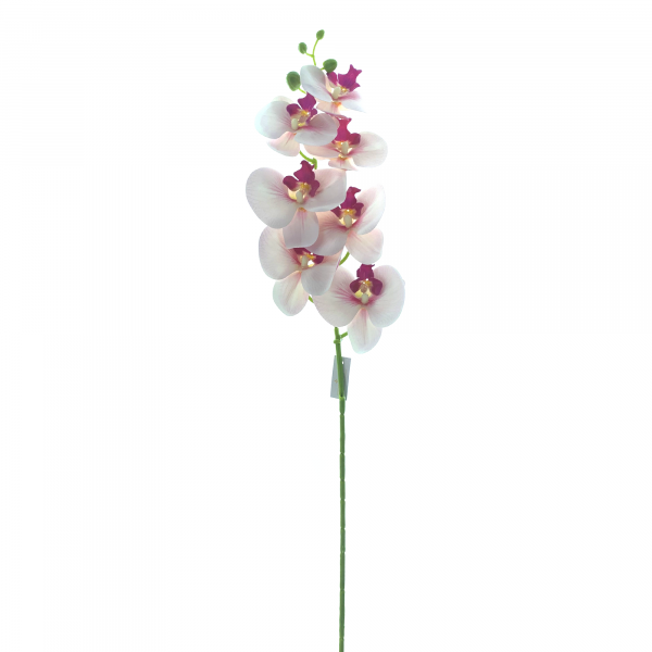 Haste Orquidea phalaenopsis branco/pink c/ 9 flores 97cm