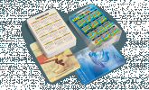 Calendário de Bolso