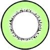 circle lens-Princess Pinky Eclipse green