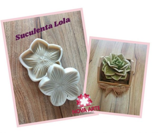 Suculenta lola