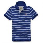 Polo Hollister HO2040