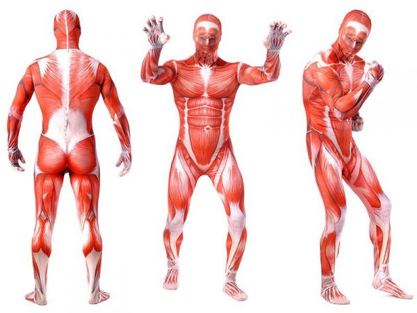 Zentai Musculos MF205