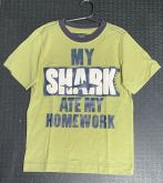 Camisa305 4 anos