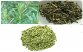 Chá Verde, Alecrim e Erva Doce