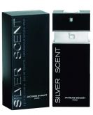 Silver Scent Masculino