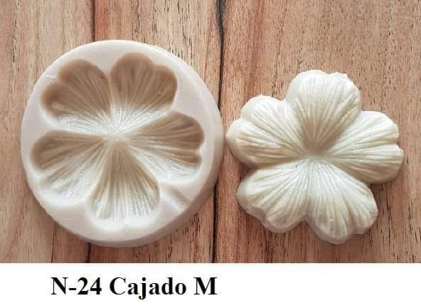 Cajado M(n-24)