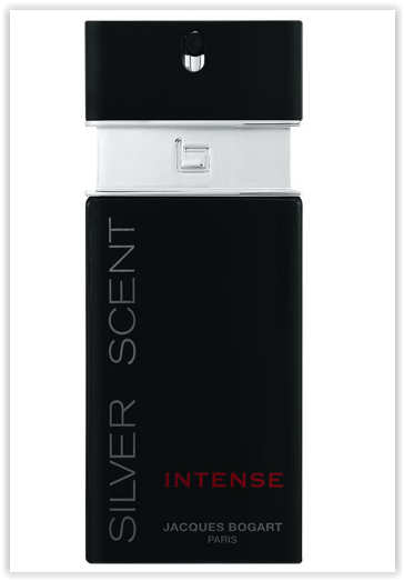 SILVER SCENT INT 100ML MAS.