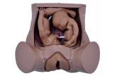 Simulador de Parto Gemelar com Placenta e Cordão Umbilical CS/SD - 4010