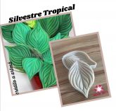 Silvestre tropical (n-486)