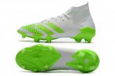 ADIDAS Predator 20.1 FG Branco Verde