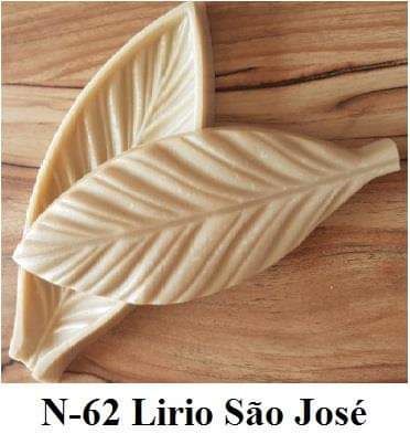 Lírio São José(n-62)