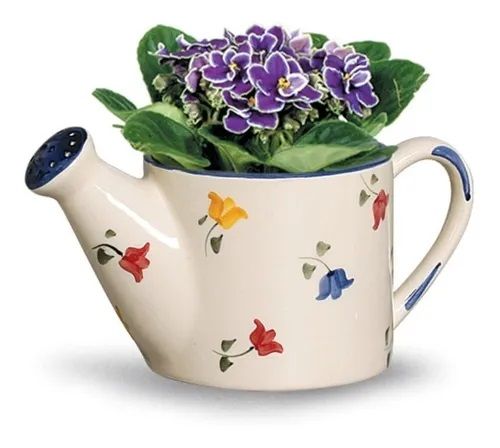 Vaso Regador Horta Plantas Arranjo Flores Jardim Em Cerâmica