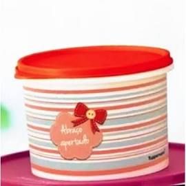 Tupper Caixa Scrapbook 1,1 Litros