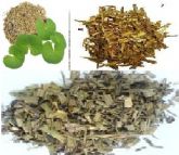 Cavalinha, Centelha Asiática e Carqueja