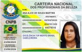 ANA ALICE DE SOUZA MARTINS