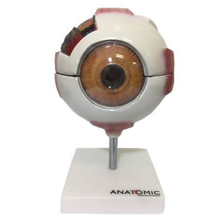 Olho Ampliado em 8 Partes-CS/AT/TGD-0307