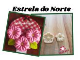 Estrela do norte